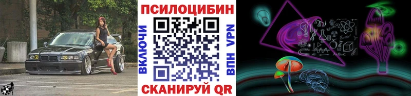 Купить закладки  Певек  Галлюциногенные грибы MAGIC MUSHROOMS 